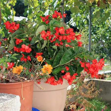 Апартаменты By The Sea Lumbarda, Korcula - 4437