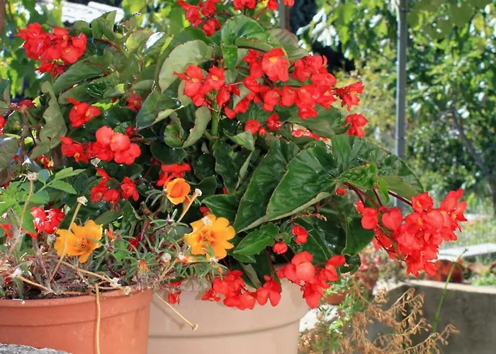 Apartamento By The Sea Lumbarda, Korcula - 4437